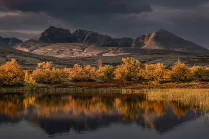 Picture of GOLDEN AUTUMN IN NORWAY