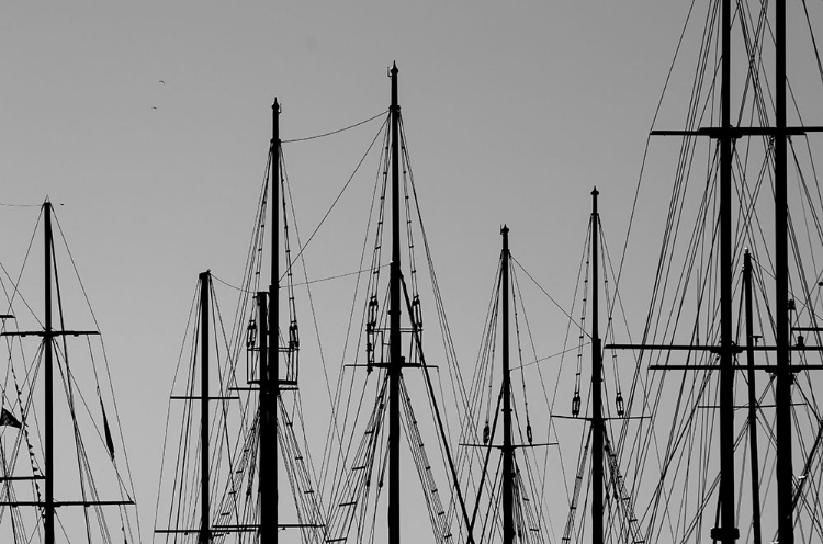 Picture of MASTS