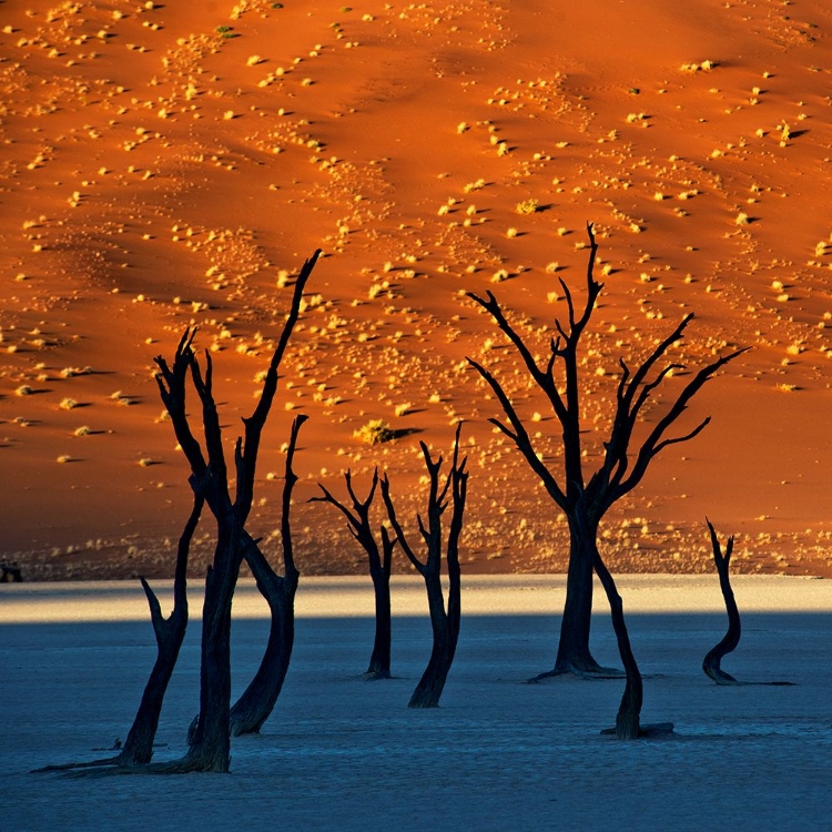 Picture of DEADVLEI