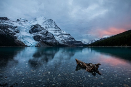 Picture of MOUNT ROBSON