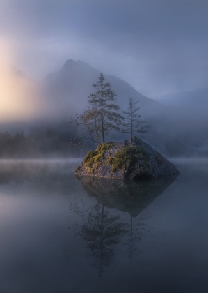 Picture of MISTY MORNING SOLITUDE