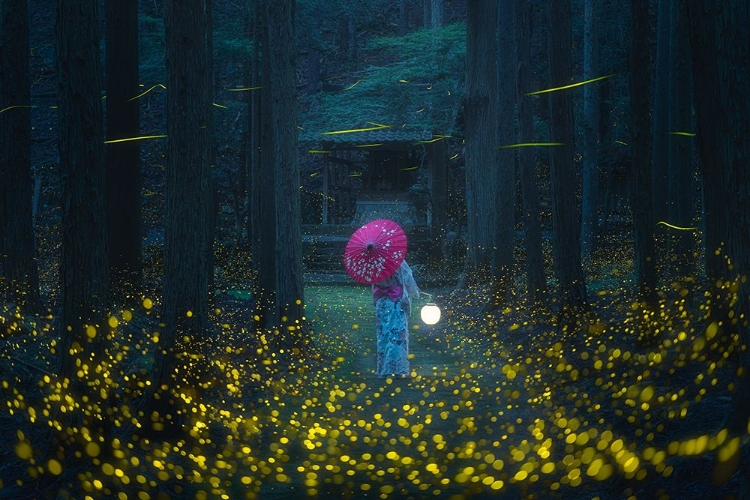 Picture of JAPANESE KIMONO AND SEA OF FIREFLIES