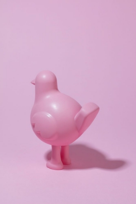 Picture of PINK PIGEON SAYS GOODBYE