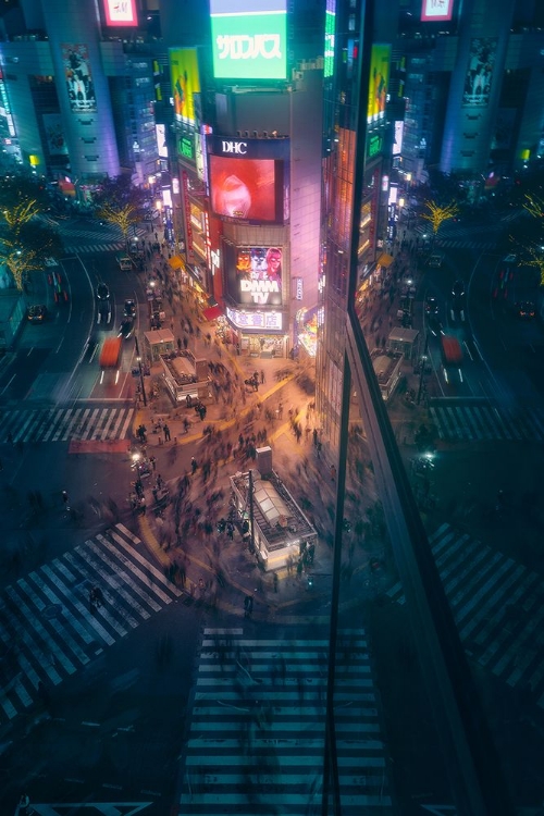 Picture of CROSSING SHIBUYA