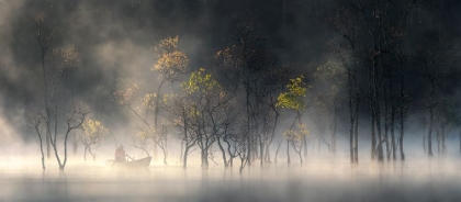 Picture of SUNRISE IN SUOI TIA