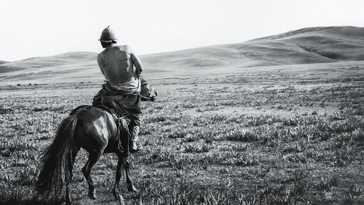 Picture of COWBOY OF THE STEPPE