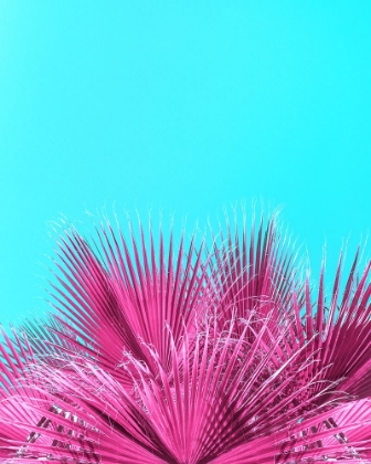 Picture of ELECTRIC PINK PALM FRONDS