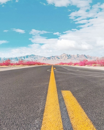 Picture of ROAD TO DEATH VALLEY