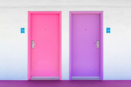 Picture of PINK AND PURPLE DOORS AT THE SAGUARO