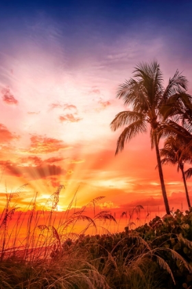 Picture of BONITA BEACH PICTURESQUE SUNSET