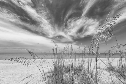 Picture of HEAVENLY CALMNESS ON THE BEACH - MONOCHROME