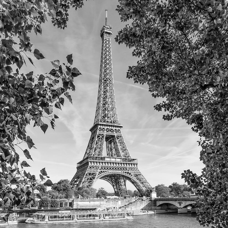 Picture of PARIS EIFFEL TOWER A RIVER SEINE - MONOCHROME