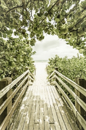 Picture of BRIDGE TO MIAMI BEACH