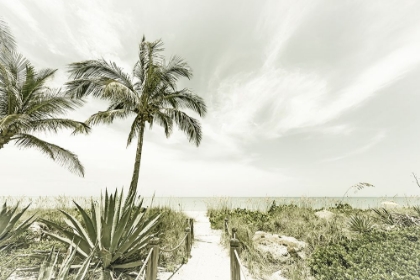 Picture of ALONE AT THE BEACH