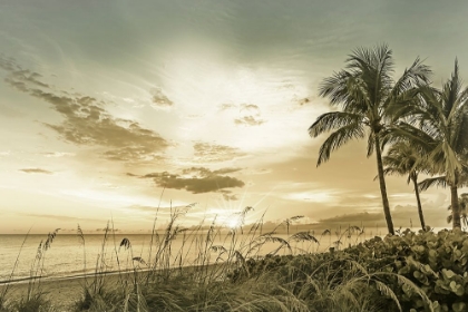 Picture of BONITA BEACH SUNSET