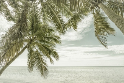 Picture of FLORIDA VINTAGE OCEANVIEW