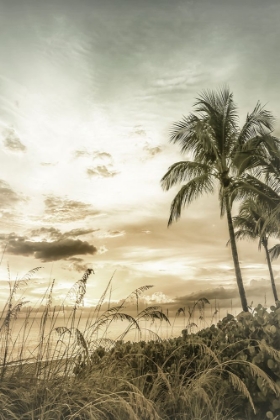 Picture of BONITA BEACH VINTAGE SUNSET