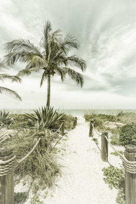 Picture of VINTAGE PATH TO THE BEACH