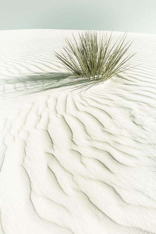 Picture of WHITE SANDS IDYLLIC VINTAGE SCENERY