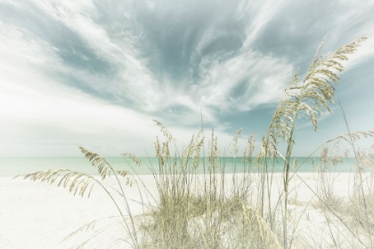 Picture of HEAVENLY CALMNESS ON THE BEACH