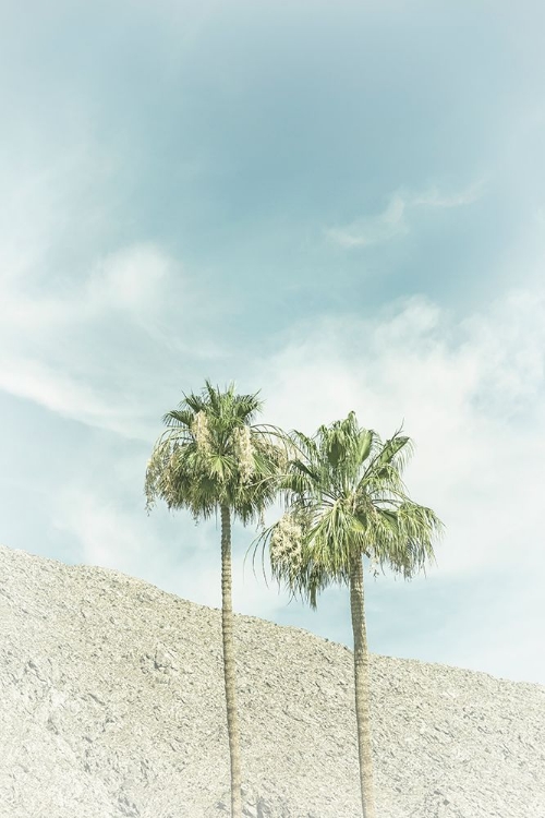 Picture of VINTAGE PALM TREES IN THE DESERT