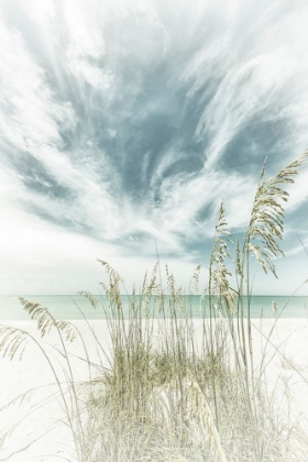 Picture of CALMNESS ON THE BEACH