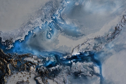 Picture of ARCTIC WATERS