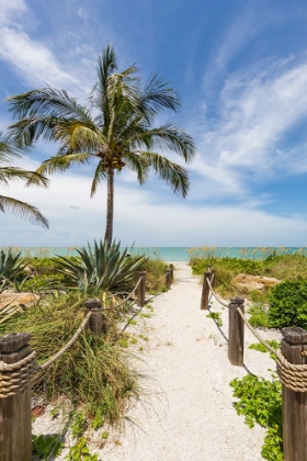 Picture of PATH TO THE BEACH