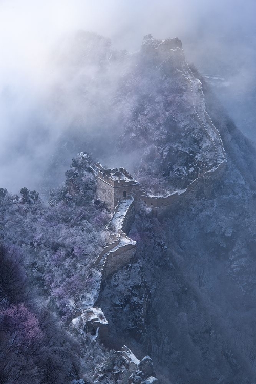 Picture of SPRING SNOW GREAT WALL