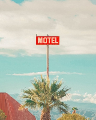 Picture of THIS MOTEL IS FOR THE BIRDS