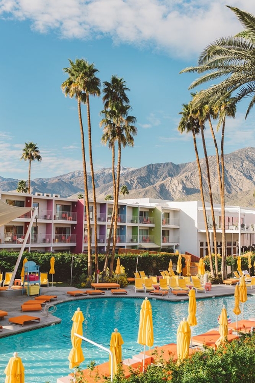 Picture of PALM SPRINGS SAGUARO