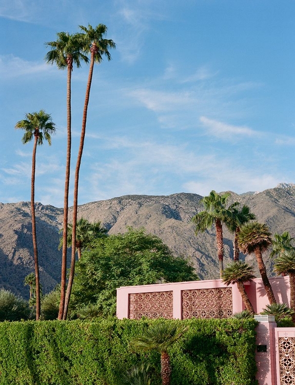 Picture of PALM SPRINGS PINK HOUSE