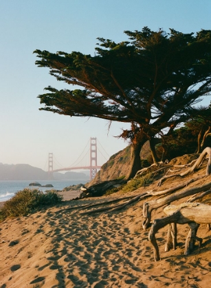 Picture of SAN FRANCISCO BEACH SUNSET