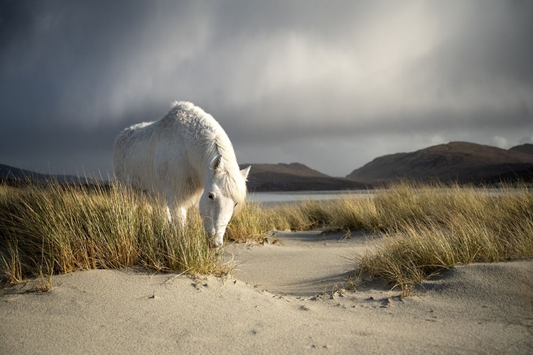 Picture of OUTER HEBRIDES