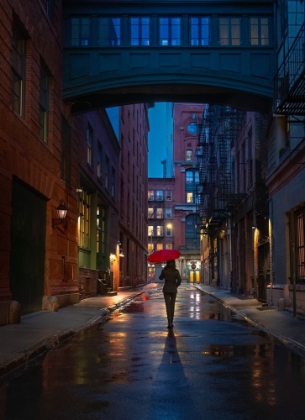 Picture of RAINY NIGHT IN NYC I