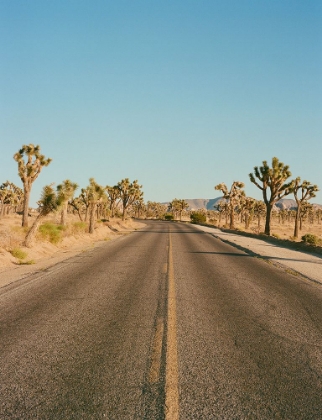 Picture of JOSHUA TREE ROAD II