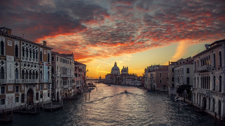 Picture of VENICE