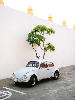 Picture of PASTEL VOLSKWAGEN BEETLE IN THE STREETS OF OAXACA MEXICO