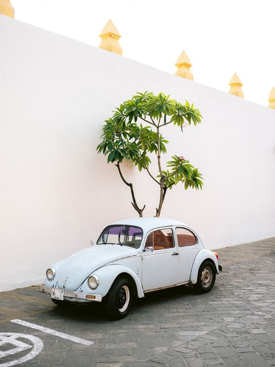 Picture of PASTEL VOLSKWAGEN BEETLE IN THE STREETS OF OAXACA MEXICO