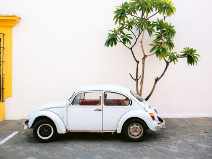 Picture of PASTEL VOLSKWAGEN BEETLE IN THE STREETS OF OAXACA MEXICO