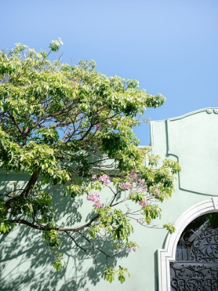 Picture of PASTEL OAXACA ARCHITECTURE | MEXICO TRAVEL PHOTOGRAPHY