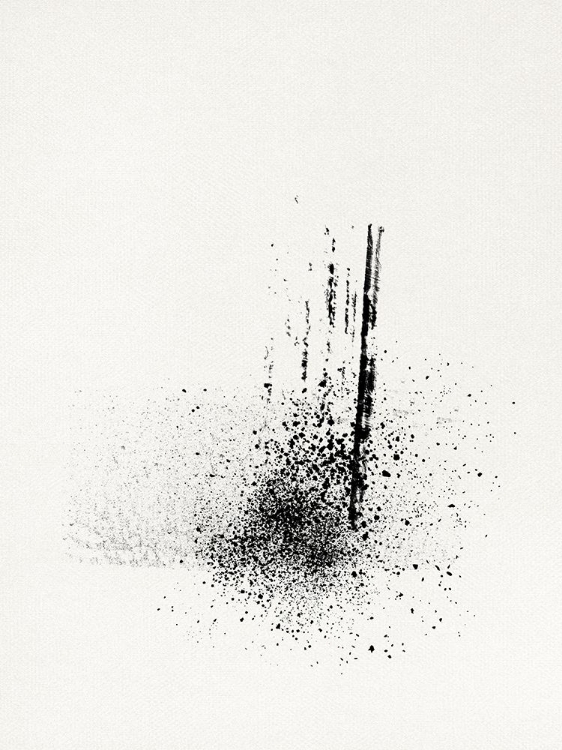 Picture of BRUSH SPLATTERS #1