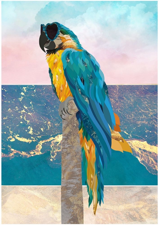 Picture of MACAW ON HOLIDAY 01