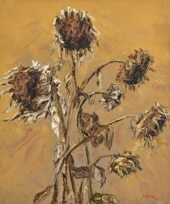 Picture of SUNFLOWER