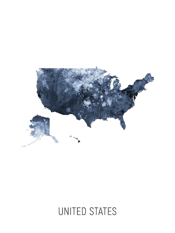 Picture of UNITED STATES WATERCOLOR MAP