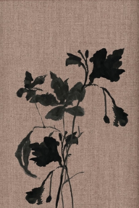 Picture of BLACK FLORAL 3