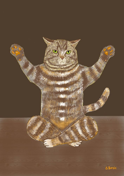 Picture of YOGA CAT