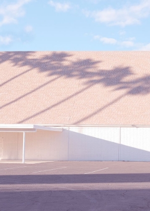 Picture of LAS VEGAS CHAPEL PALM SHADOWS