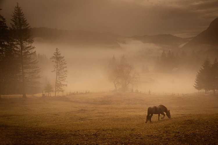 Picture of FOG IN THE BICAJEL GORGES