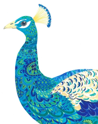 Picture of FLAMBOYANT PEACOCK